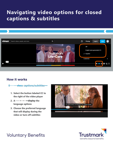 Video subtitle guide