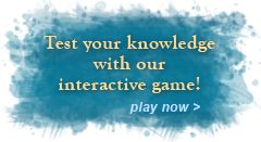 Test your knowledge with our interactive game!
