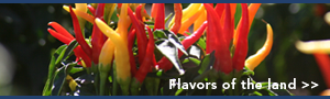 Features-newsidebar_03